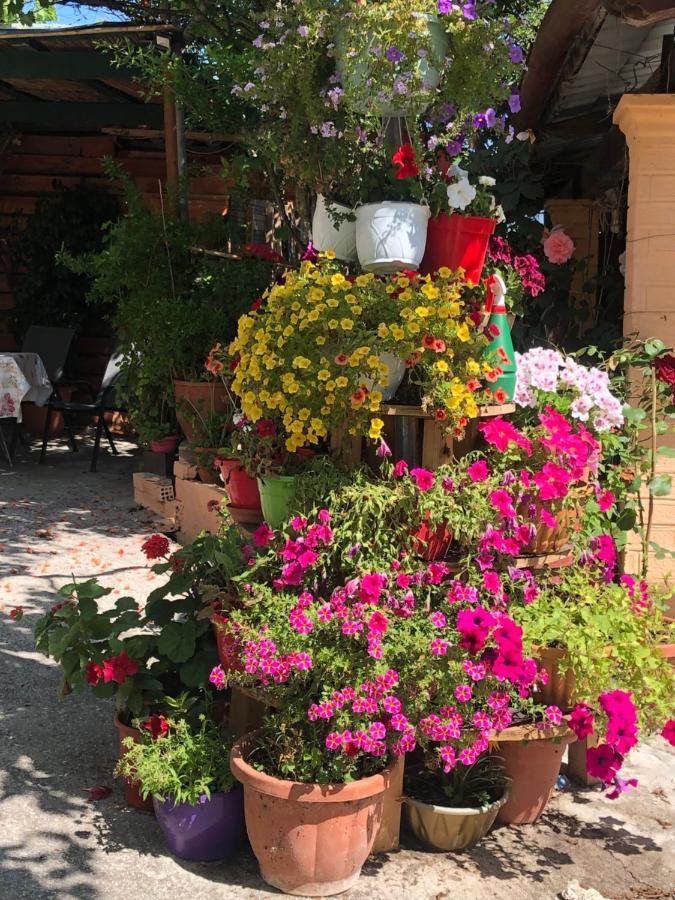 Natasha'S Home Πέραμα Εξωτερικό φωτογραφία