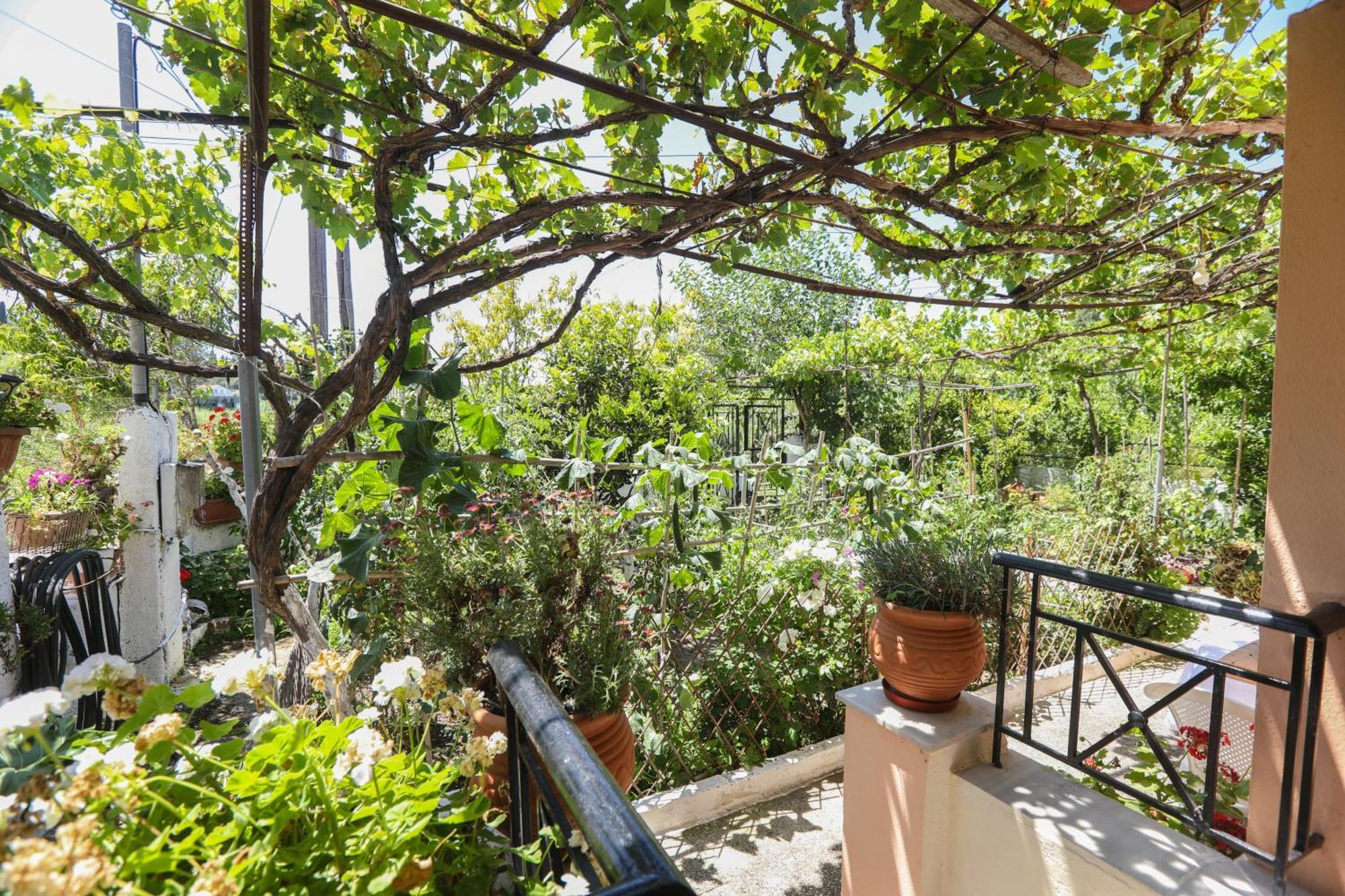 Natasha'S Home Πέραμα Εξωτερικό φωτογραφία